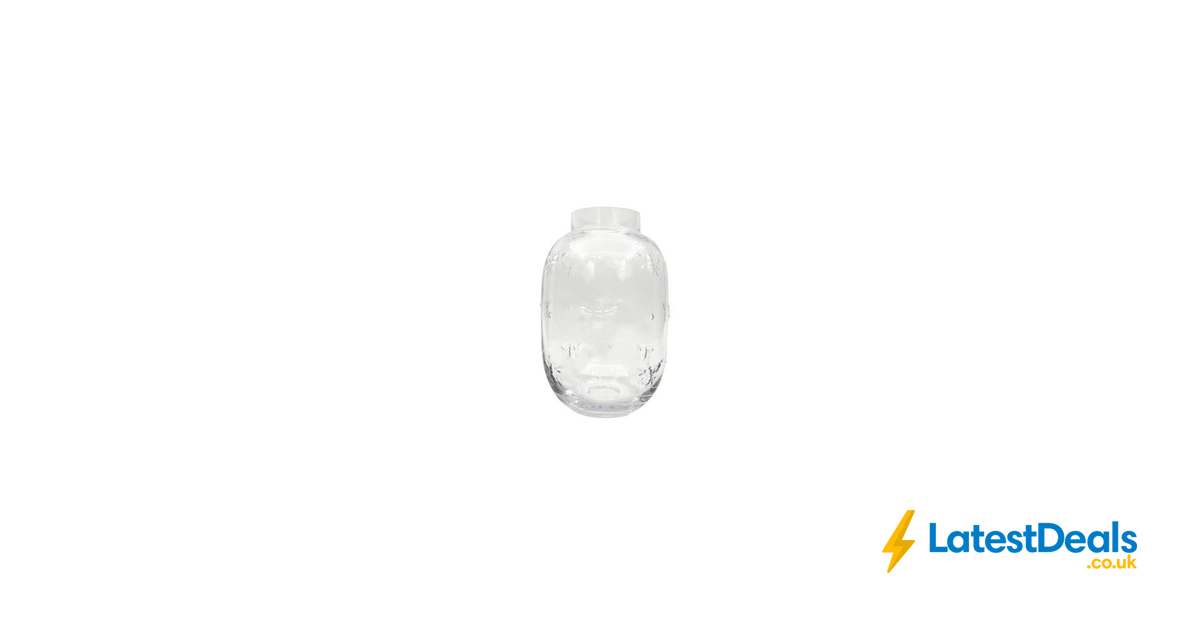 habitat-bee-glass-vase-clear320-2276-5-99-at-argos